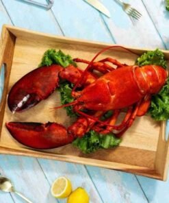 4 lb – 6 lb Live Canadian Lobster